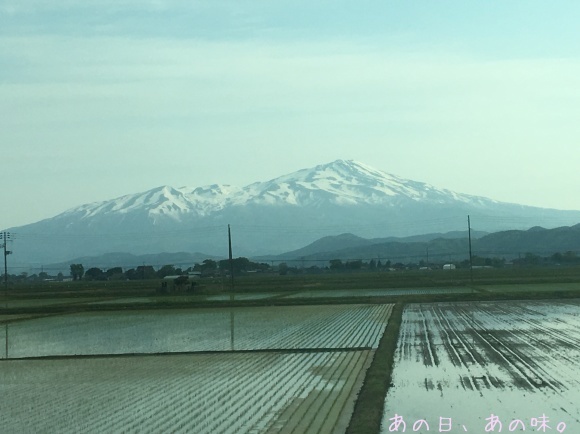 a0305046_16302884.jpg