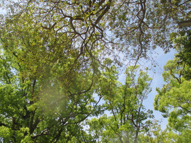 a0307846_14272374.jpg