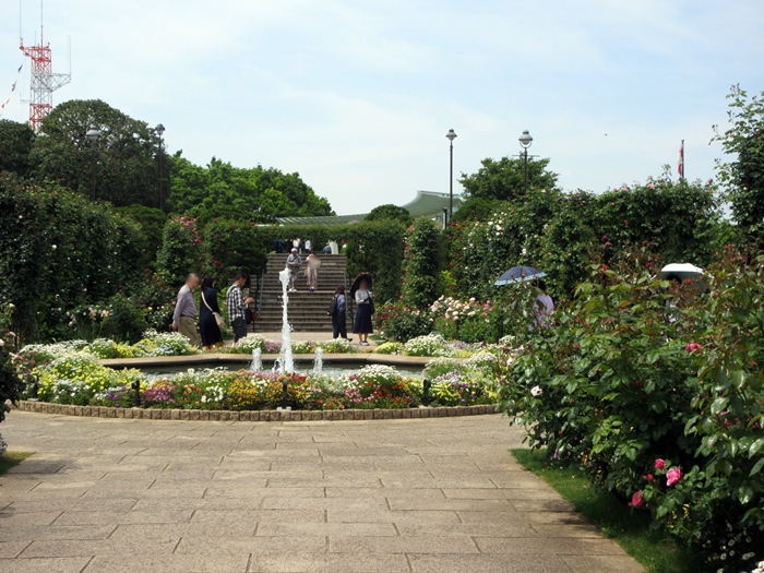 【港の見える丘公園】2019横浜ばら散歩～サンクンガーデンのばら_b0009849_16482814.jpg