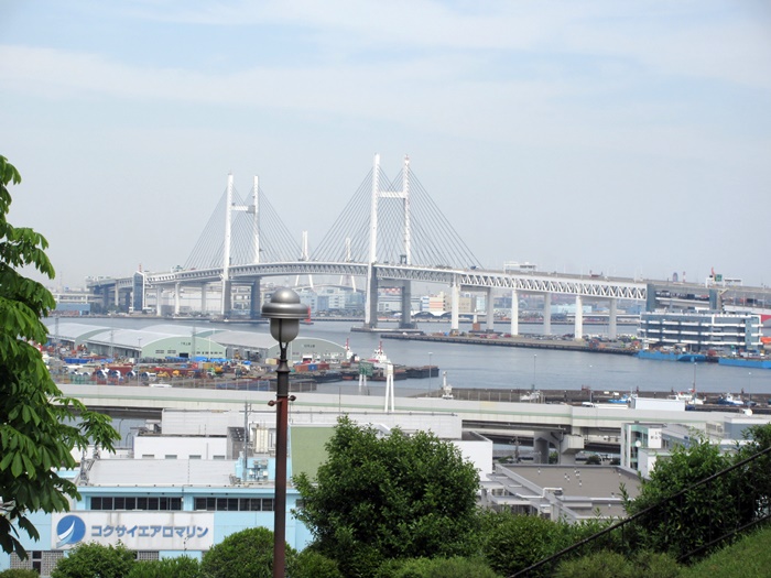 【港の見える丘公園】2019横浜ばら散歩～サンクンガーデンのばら_b0009849_1657050.jpg