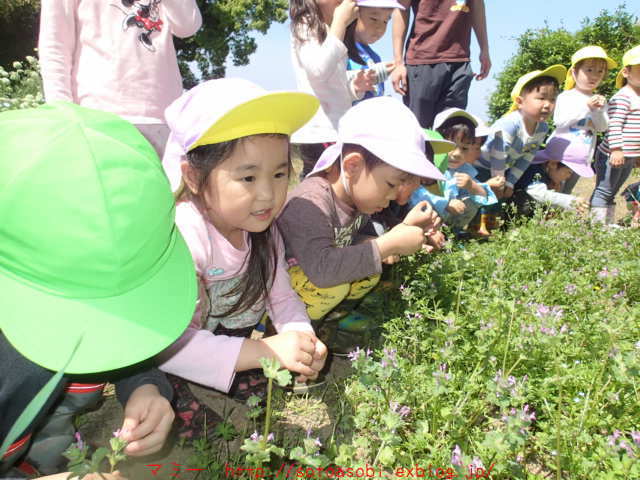 d0105749_18194188.jpg