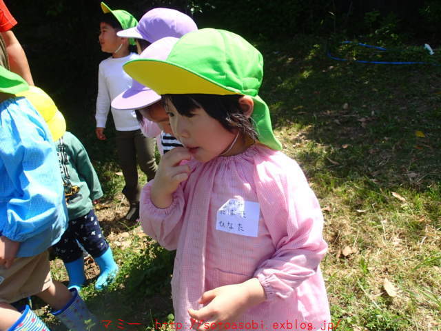 d0105749_18204417.jpg