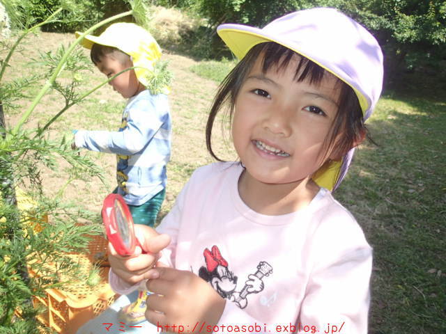 d0105749_18215876.jpg