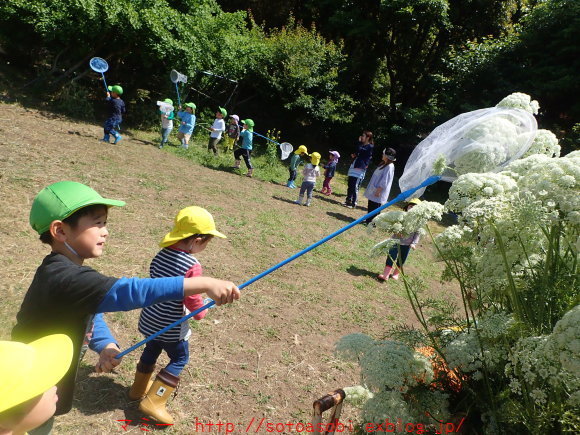 d0105749_18260469.jpg