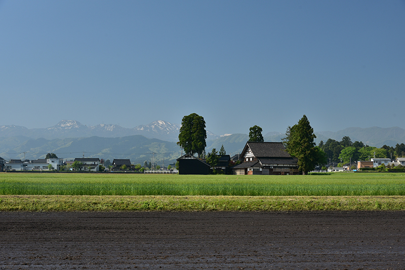 越中富山の旅―その2―_e0164563_09391588.jpg