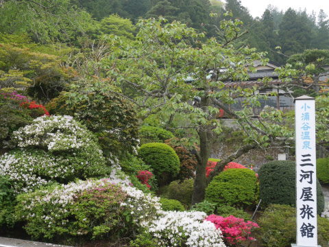 5月の箱根でツツジと新緑楽しむ5・12～13_c0014967_07170068.jpg