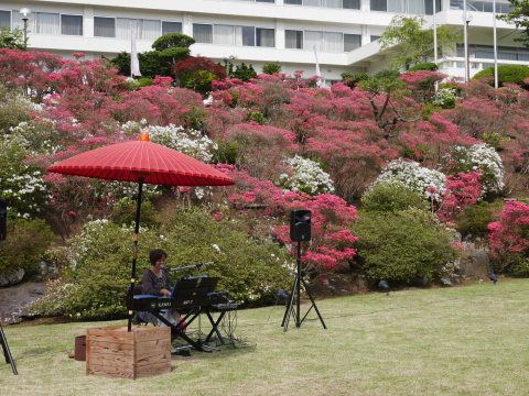 5月の箱根でツツジと新緑楽しむ5・12～13_c0014967_07185918.jpg