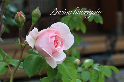 c0139168_14481798.png