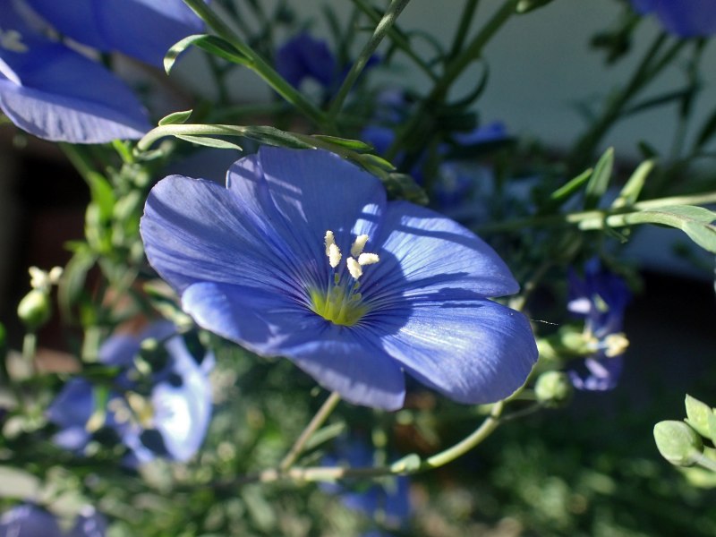 c0183777_5533050.jpg