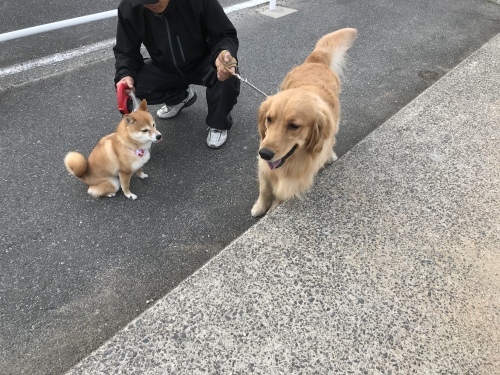 f0315081_22321448.jpeg