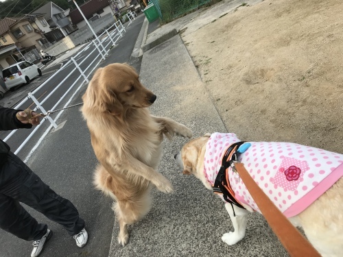 f0315081_22344747.jpeg