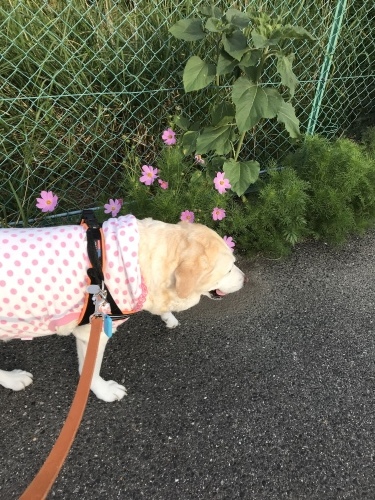 f0315081_22363577.jpeg