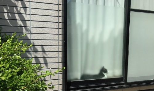 a0216583_23262522.jpeg
