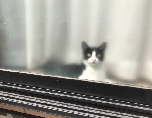 a0216583_23263227.jpeg