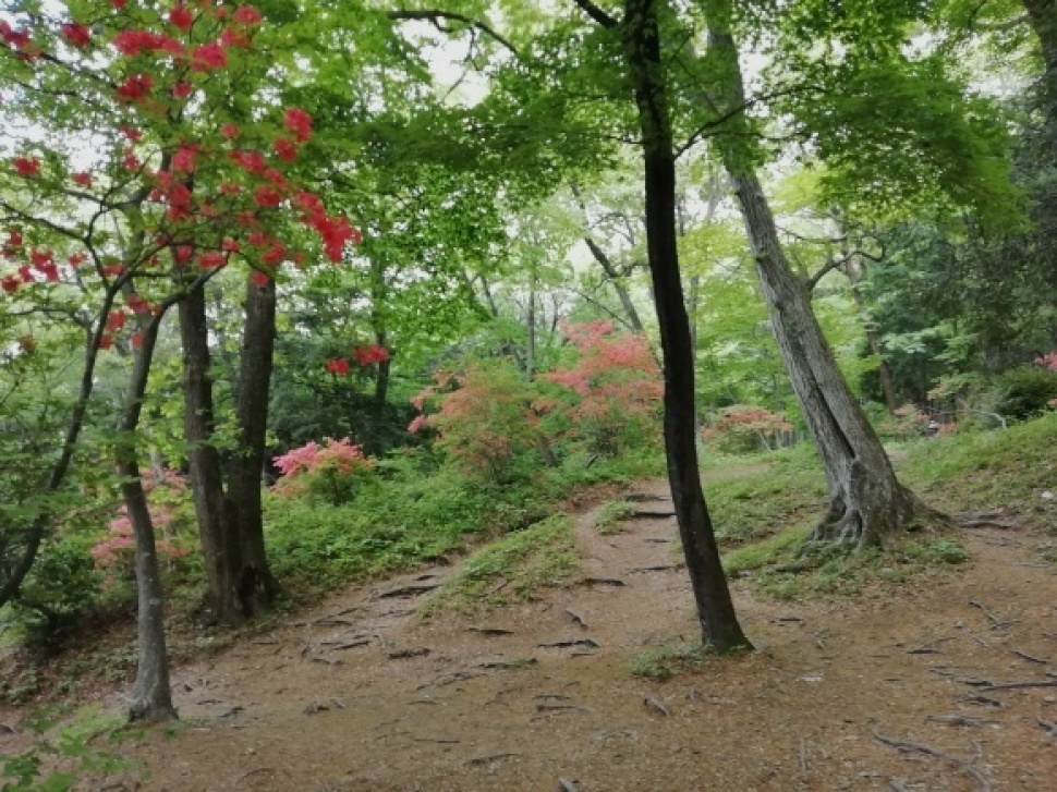 c0212083_16552443.jpg