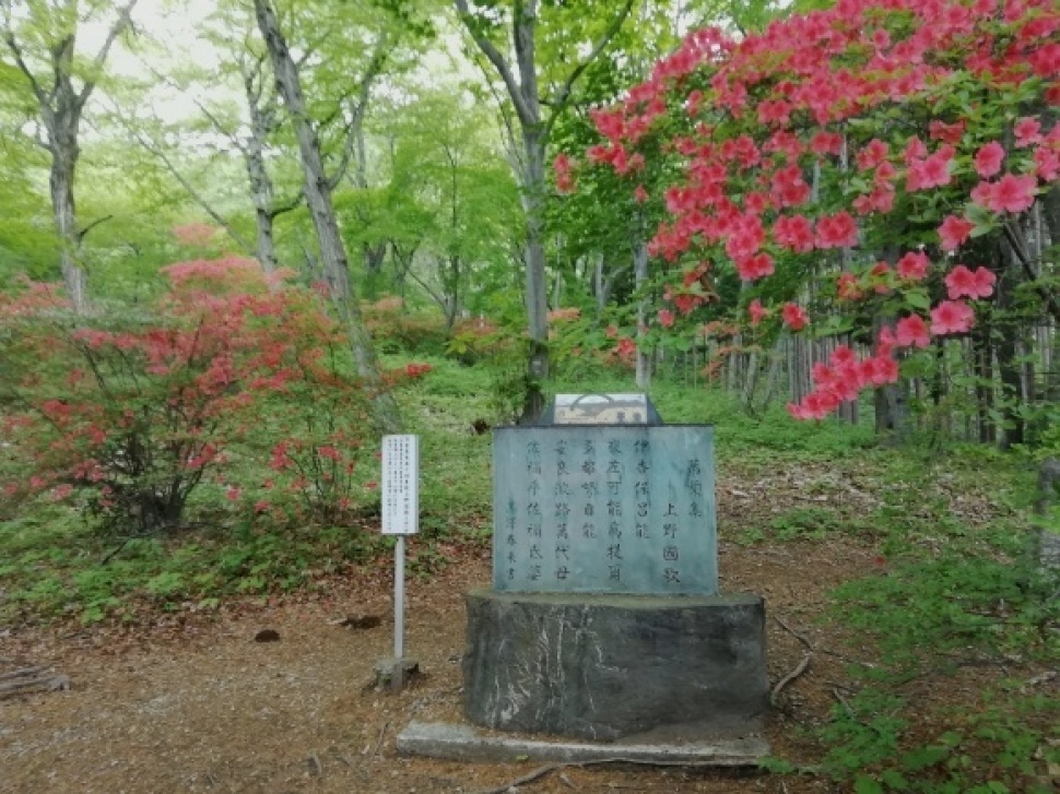 c0212083_16554552.jpg
