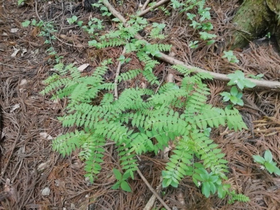c0212083_16563854.jpg