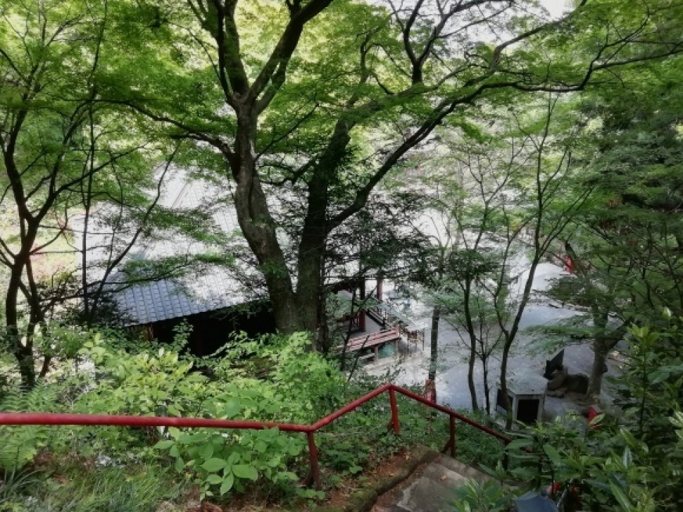 c0212083_16590067.jpg