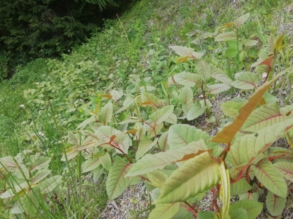 c0212083_17004723.jpg