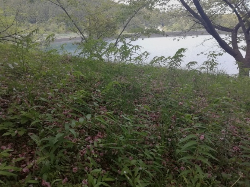 c0212083_17014331.jpg