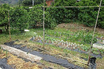 f0003283_11062483.jpg