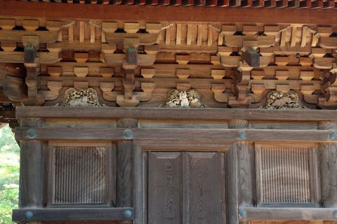 「豪徳寺」_e0360484_19325977.jpg