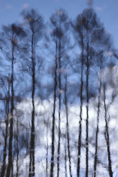 f0350585_21543452.jpg