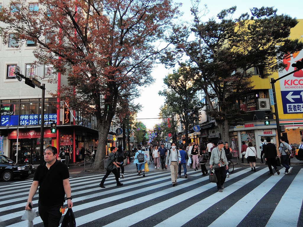 b0400788_22231558.jpg