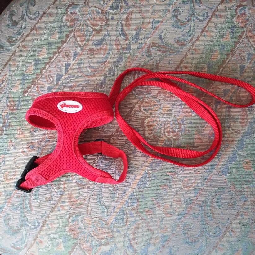 c0191390_17123634.jpg