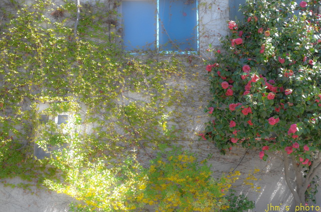 a0158797_08591791.jpg