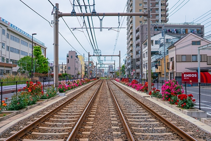 都電荒川線沿線のバラ_b0145398_23303942.jpg