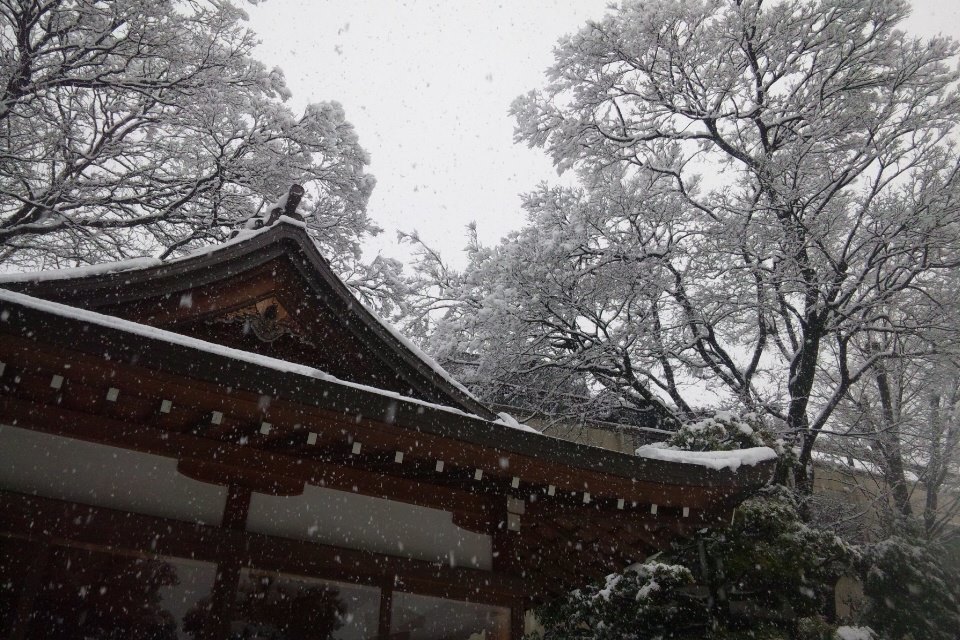 神社も雪化粧_d0116799_12161942.jpg