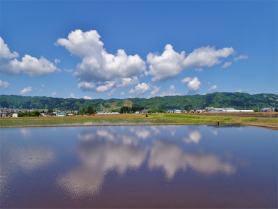 c0336902_20593526.jpg