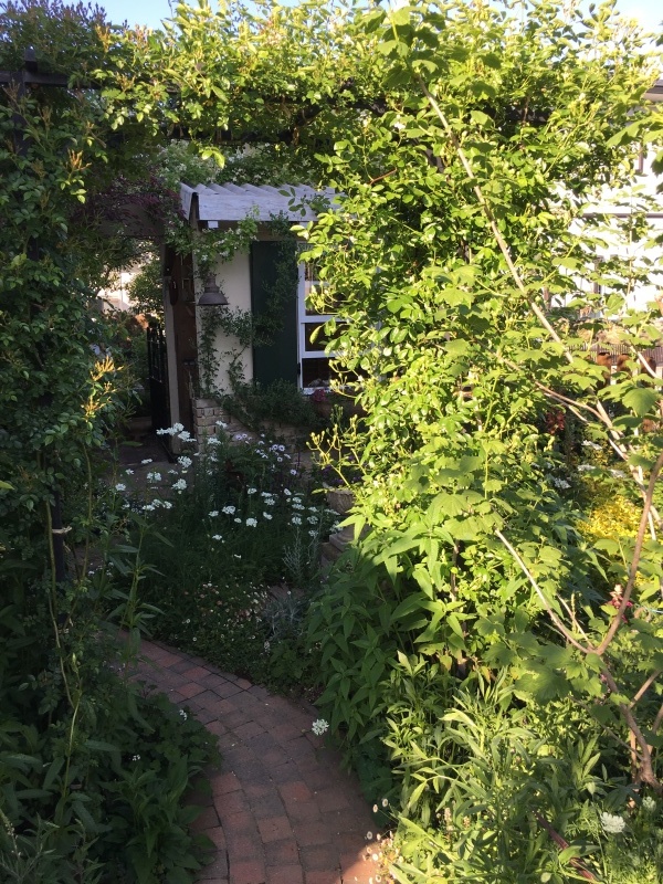 a0123003_22552720.jpg
