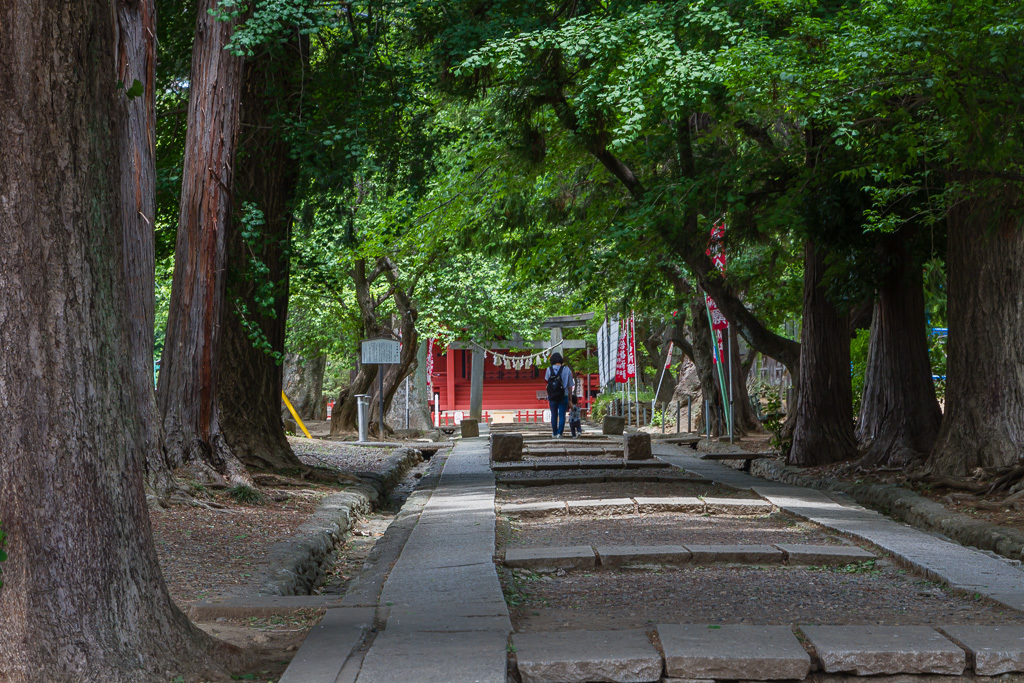 三芳神社、川越街歩き_b0010915_08402438.jpg