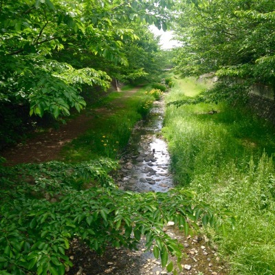 d0352916_20190919.jpg