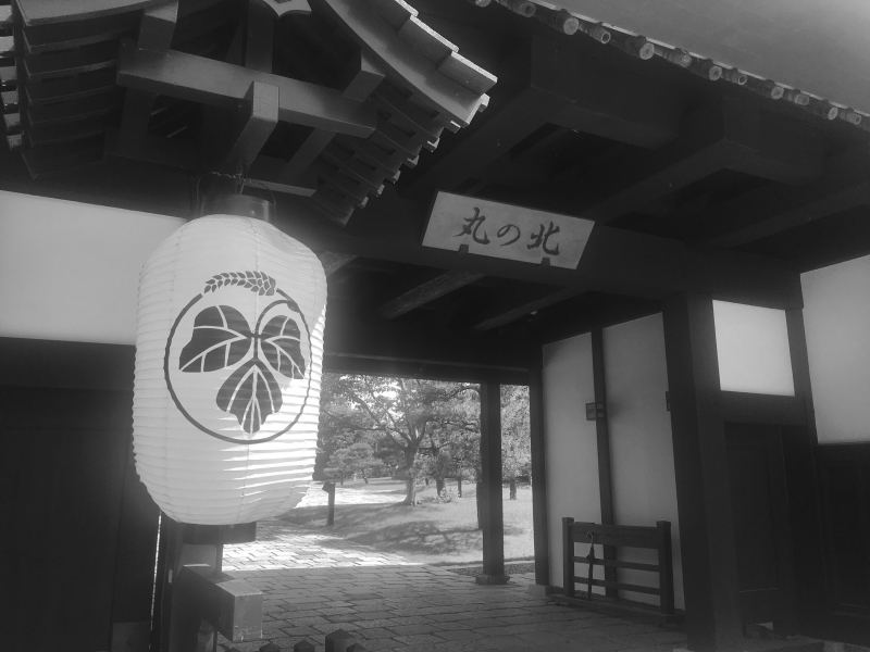基調な､経験_b0220318_13563182.jpg
