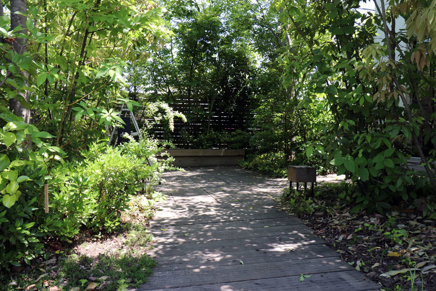 c0225122_15541957.jpg