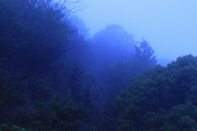 e0321325_15072032.jpg