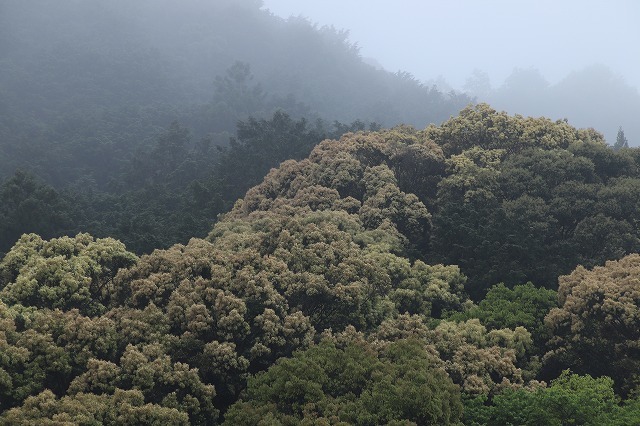e0321325_15132310.jpg