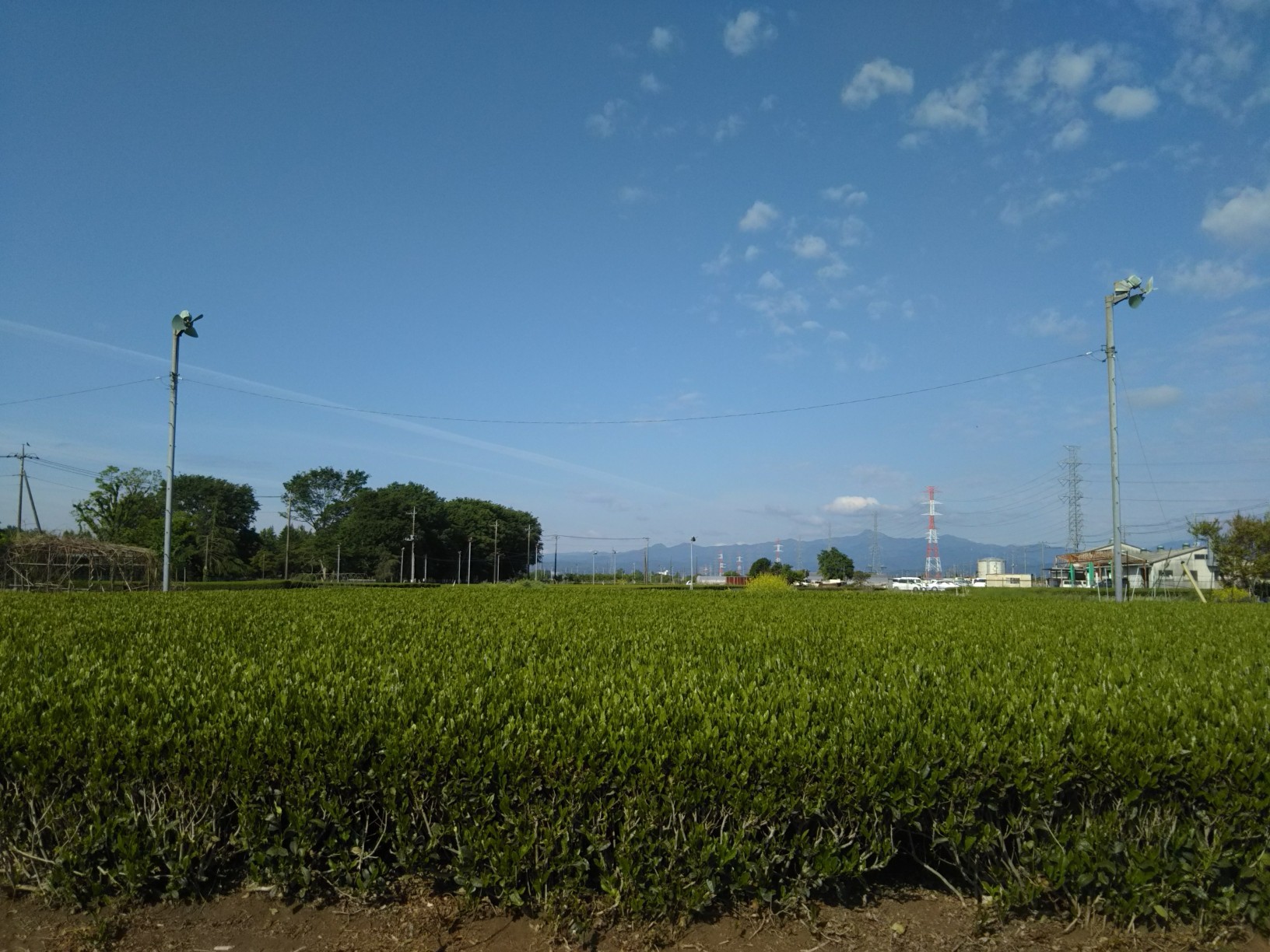 老育7 味は狭山で♪_c0155326_22414302.jpg