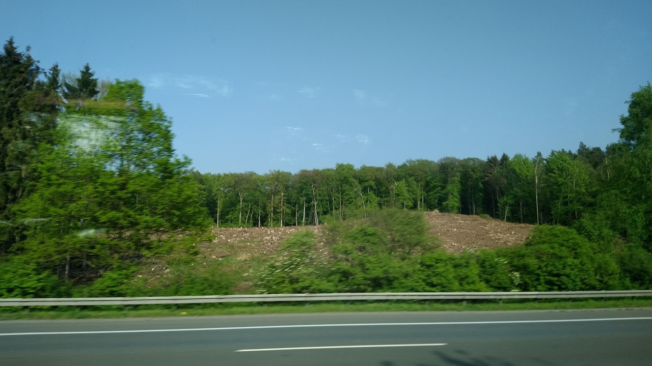 a0355629_18312389.jpg