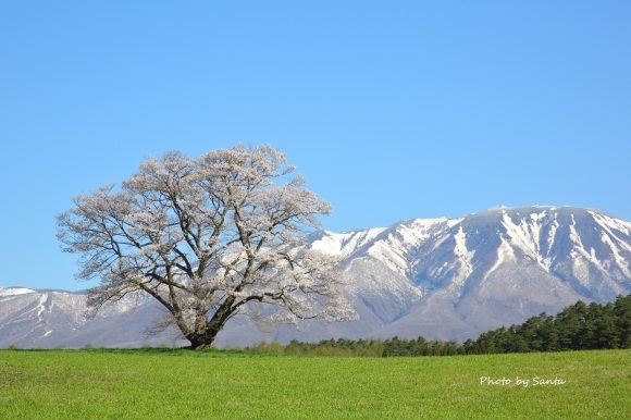 2019 東北撮影遠征-岩手・小岩井-_c0201929_08025219.jpg