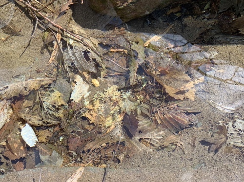 b0330040_22163686.jpeg