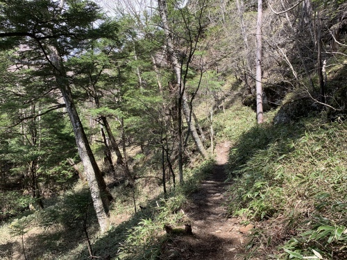 b0330040_22343463.jpeg