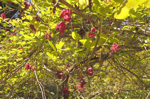 c0093046_19074507.jpg