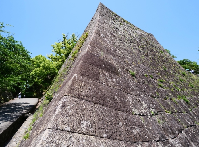 　　広角レンズをつけて和歌山城公園へ　　２０１９-０５-１０　００：００ 　　_b0093754_21433388.jpg