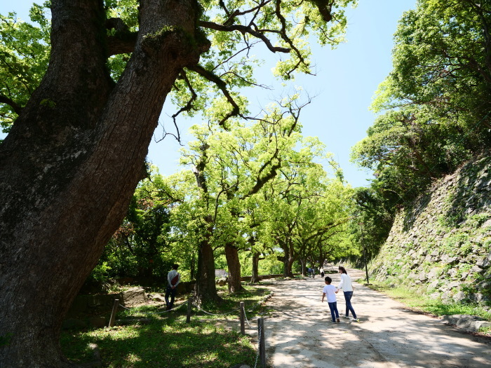 　　広角レンズをつけて和歌山城公園へ　　２０１９-０５-１０　００：００ 　　_b0093754_21434747.jpg