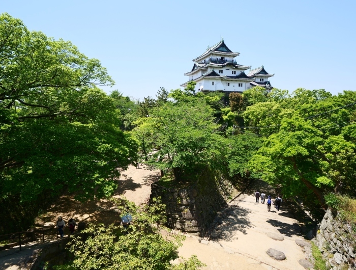 　　広角レンズをつけて和歌山城公園へ　　２０１９-０５-１０　００：００ 　　_b0093754_21444841.jpg