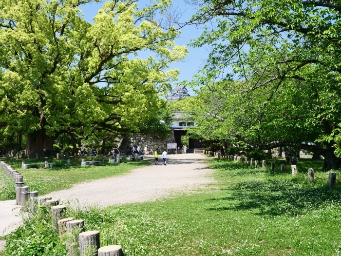 　　広角レンズをつけて和歌山城公園へ　　２０１９-０５-１０　００：００ 　　_b0093754_22012766.jpg